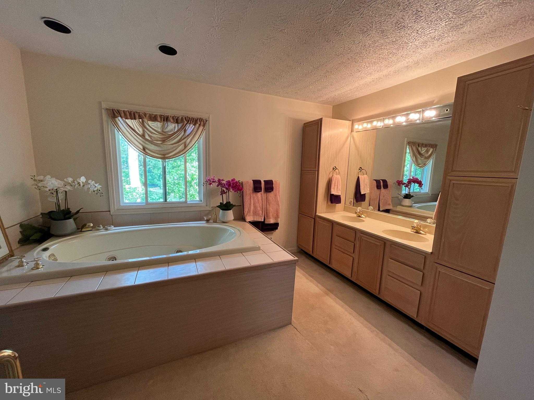 116 Prospect Dr photo 10