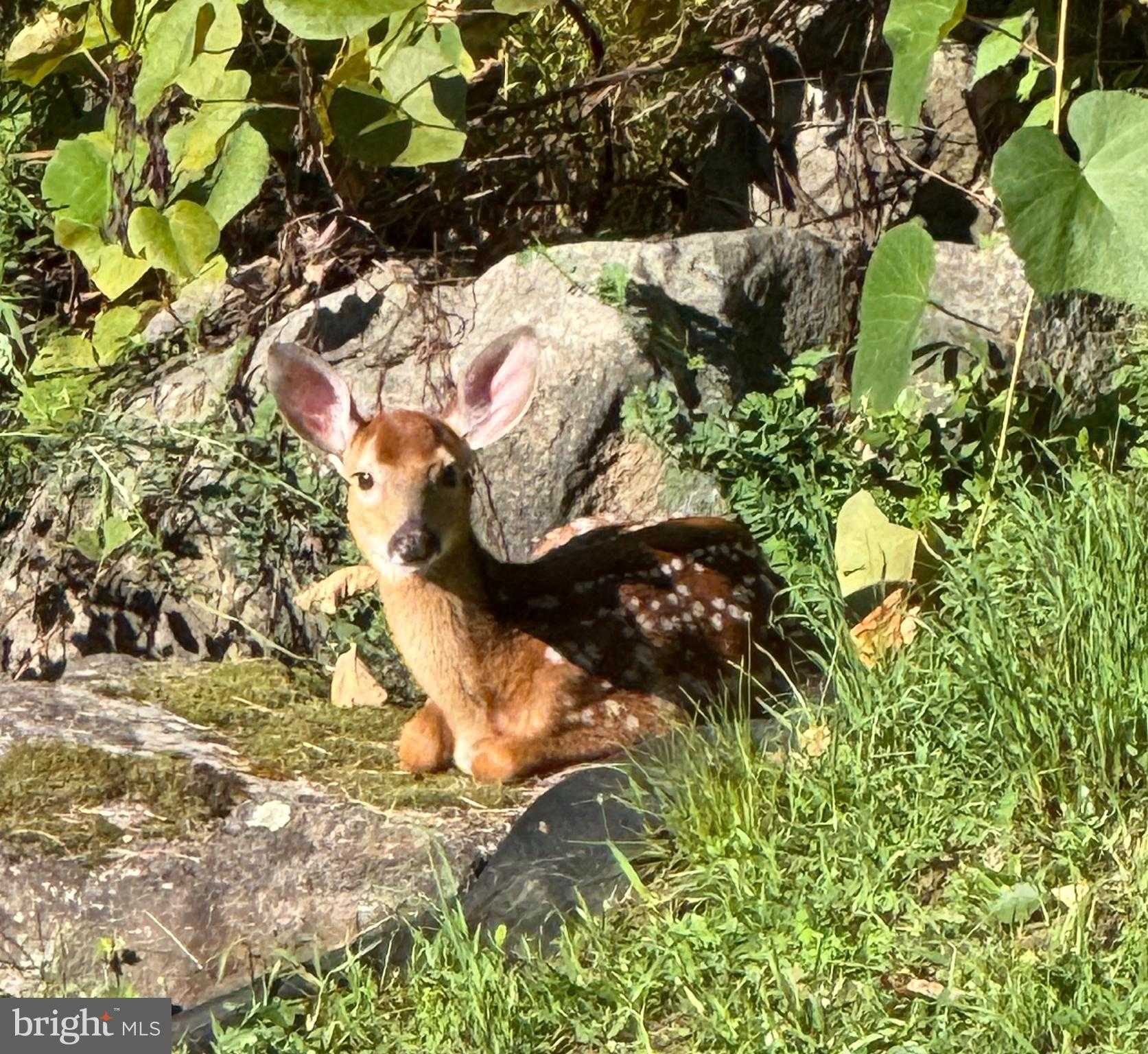 10620 Kyper Rd photo 103