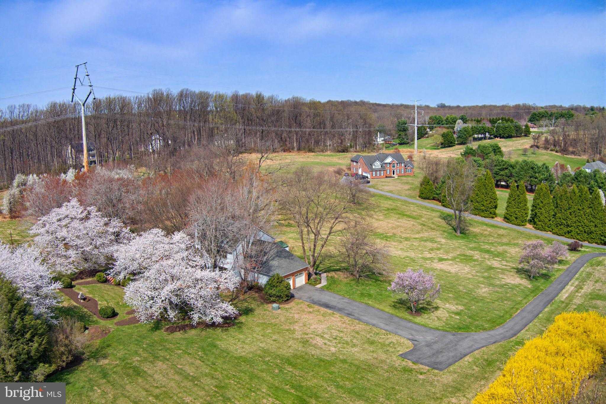 12762 Lime Kiln Rd photo 5