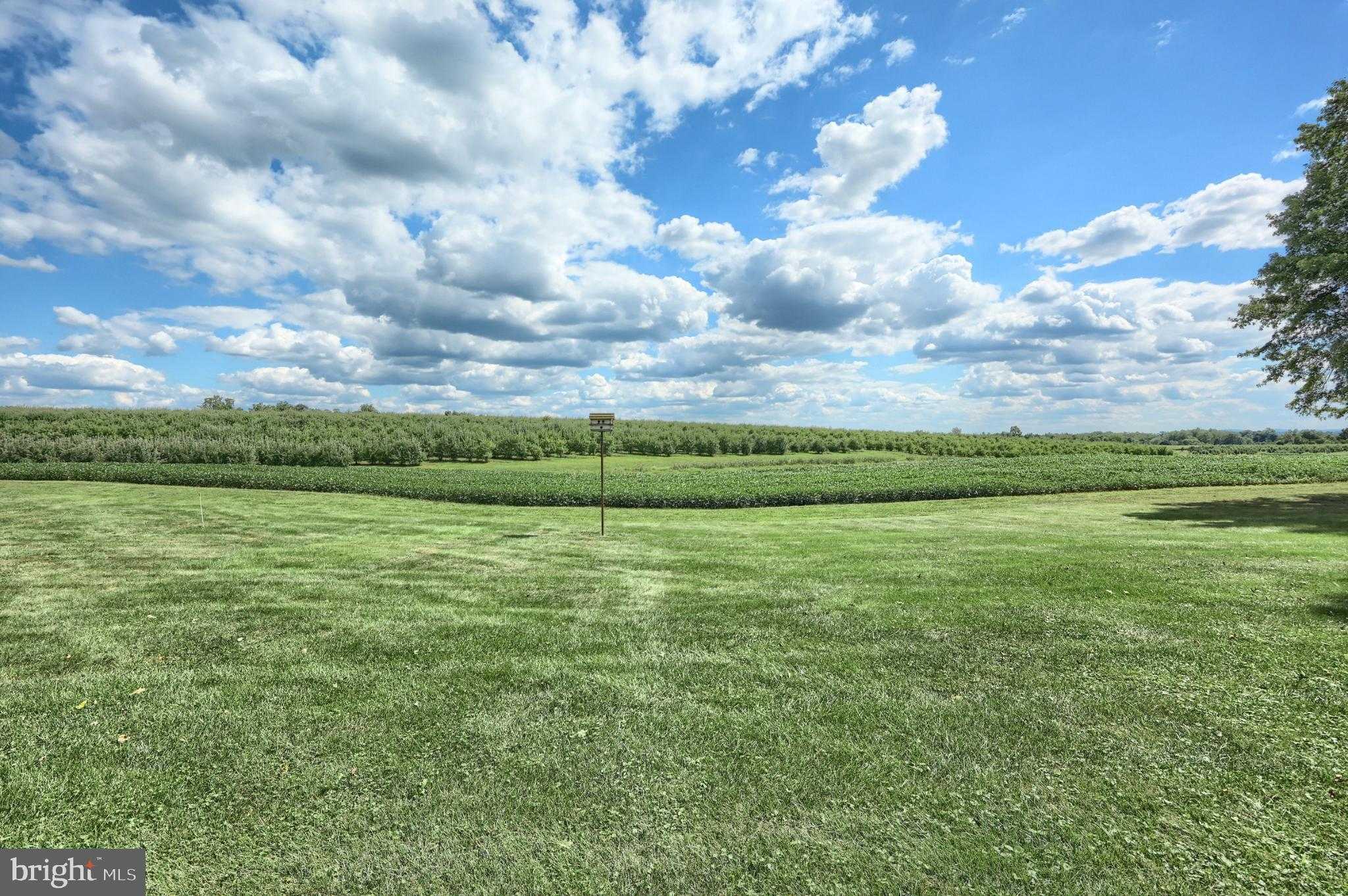 1026 Arendtsville Rd photo 16