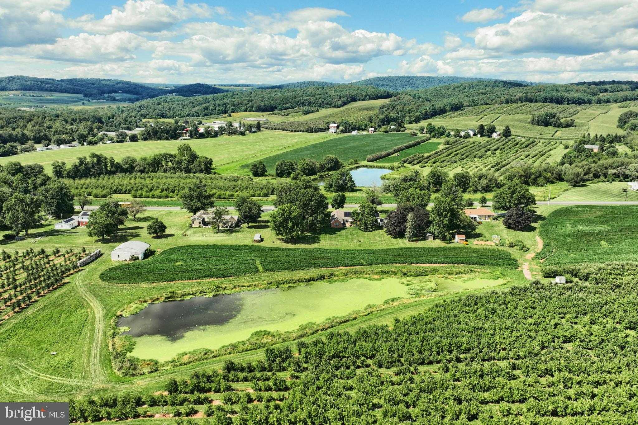 1026 Arendtsville Rd photo 64