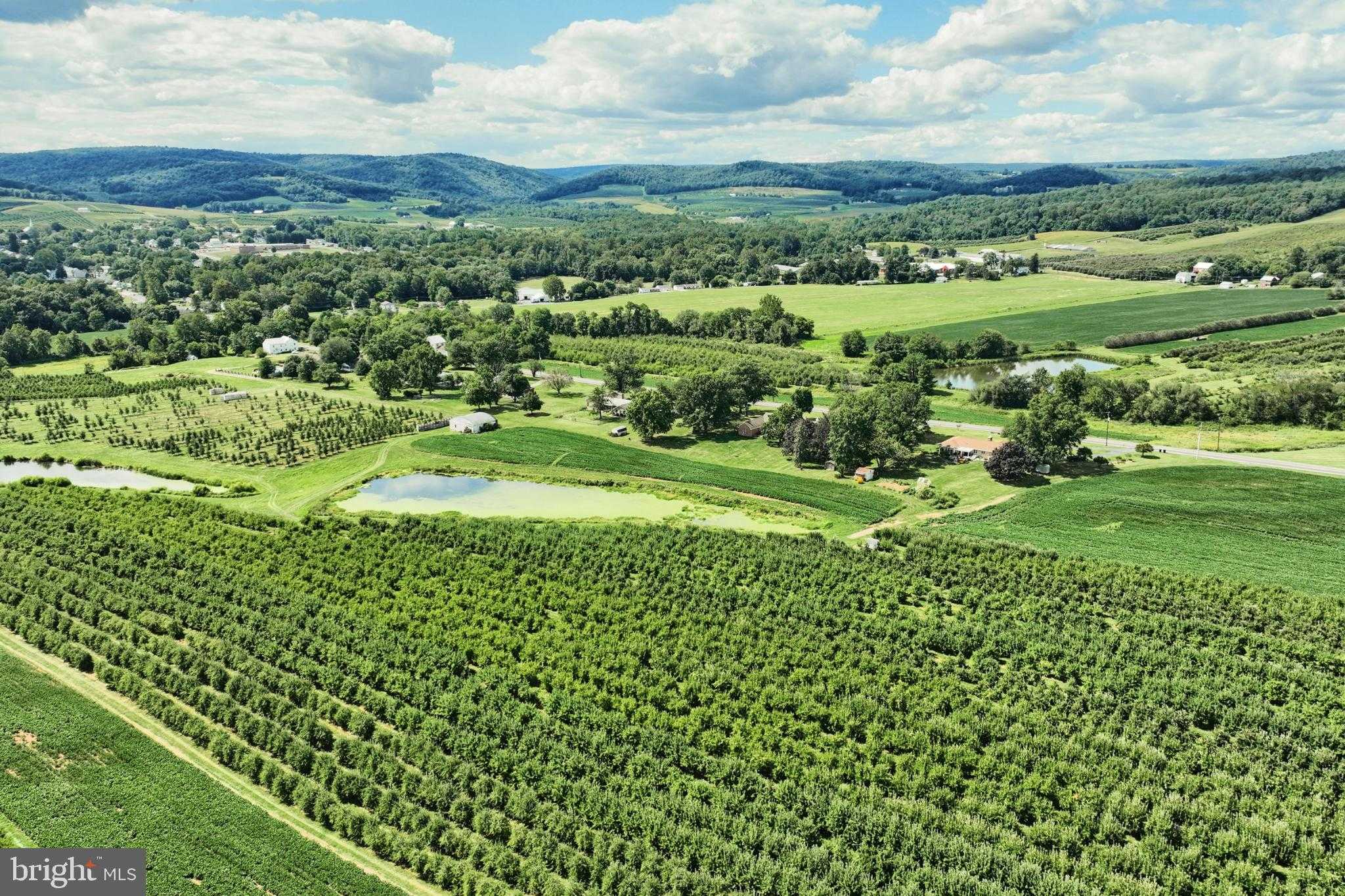 1026 Arendtsville Rd photo 65