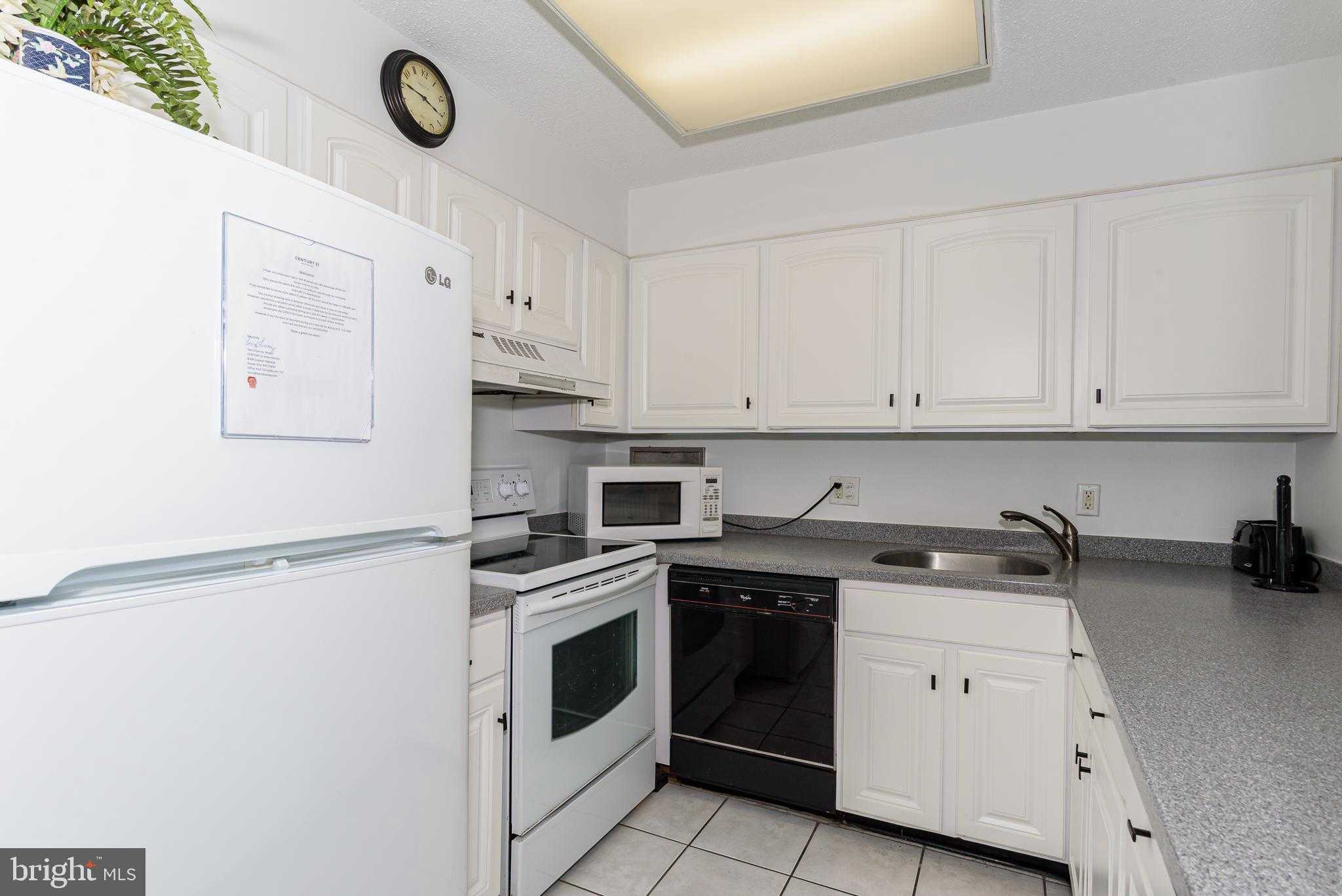 13110 Coastal Hwy photo 3