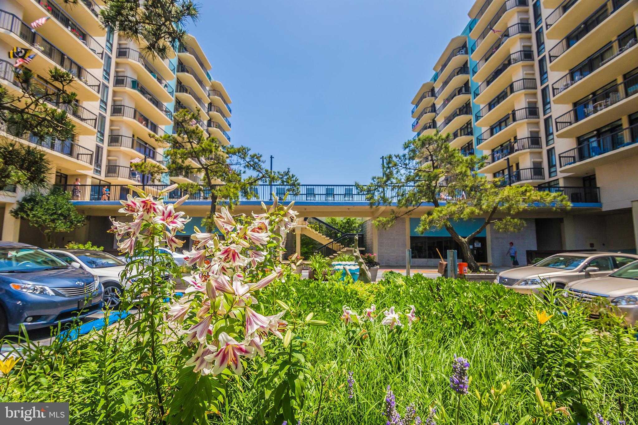 13110 Coastal Hwy photo 40