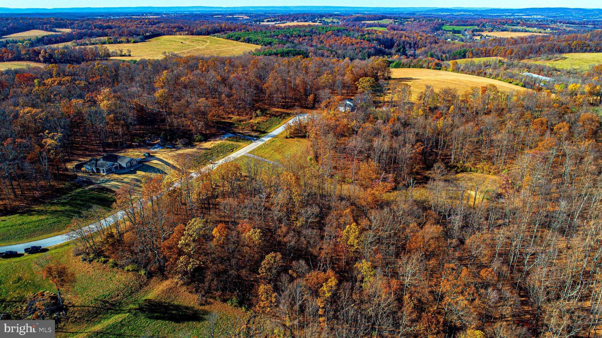 4125 Orchard View Dr photo 4