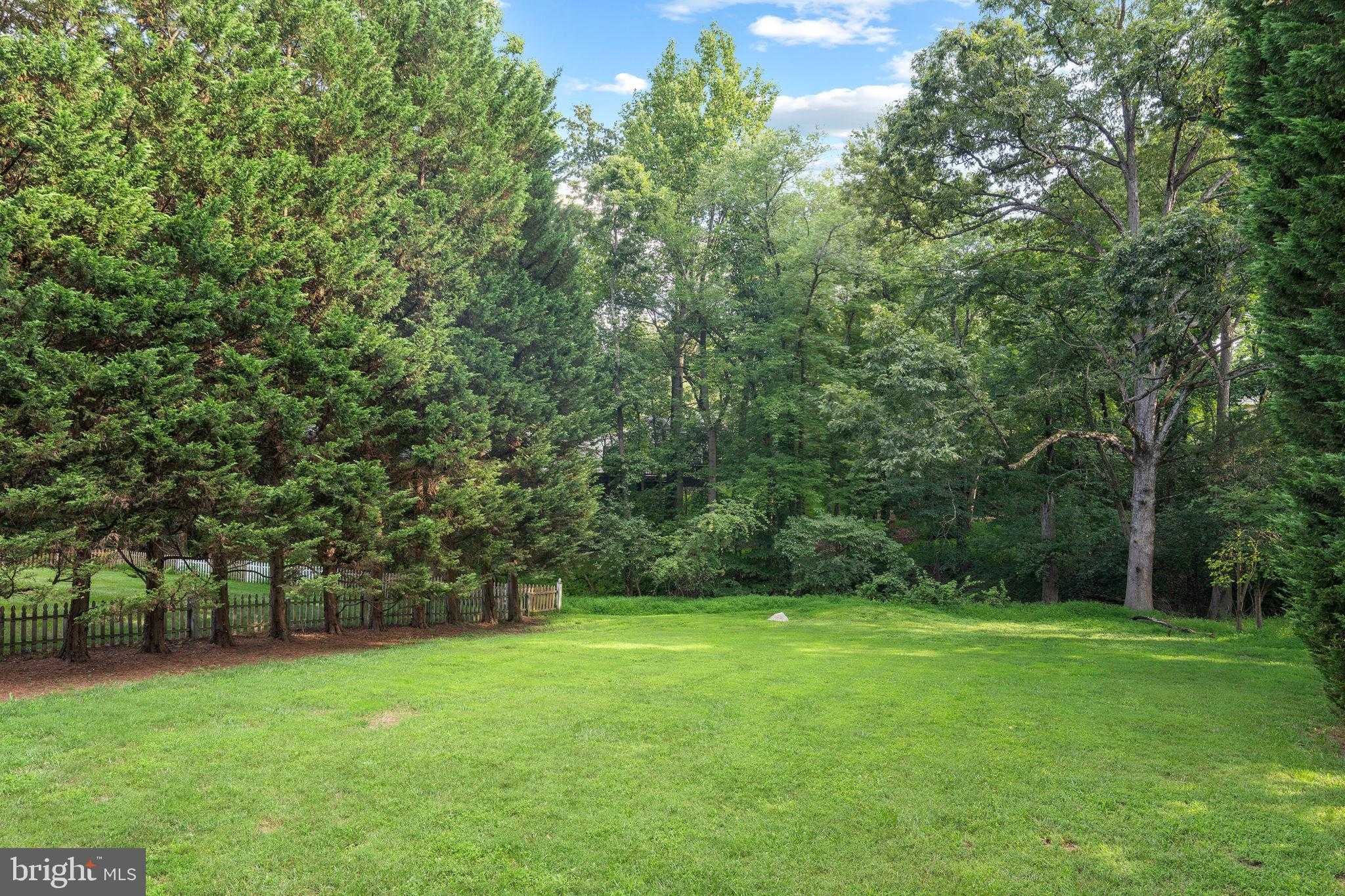 12006 Citrus Grove Rd photo 55