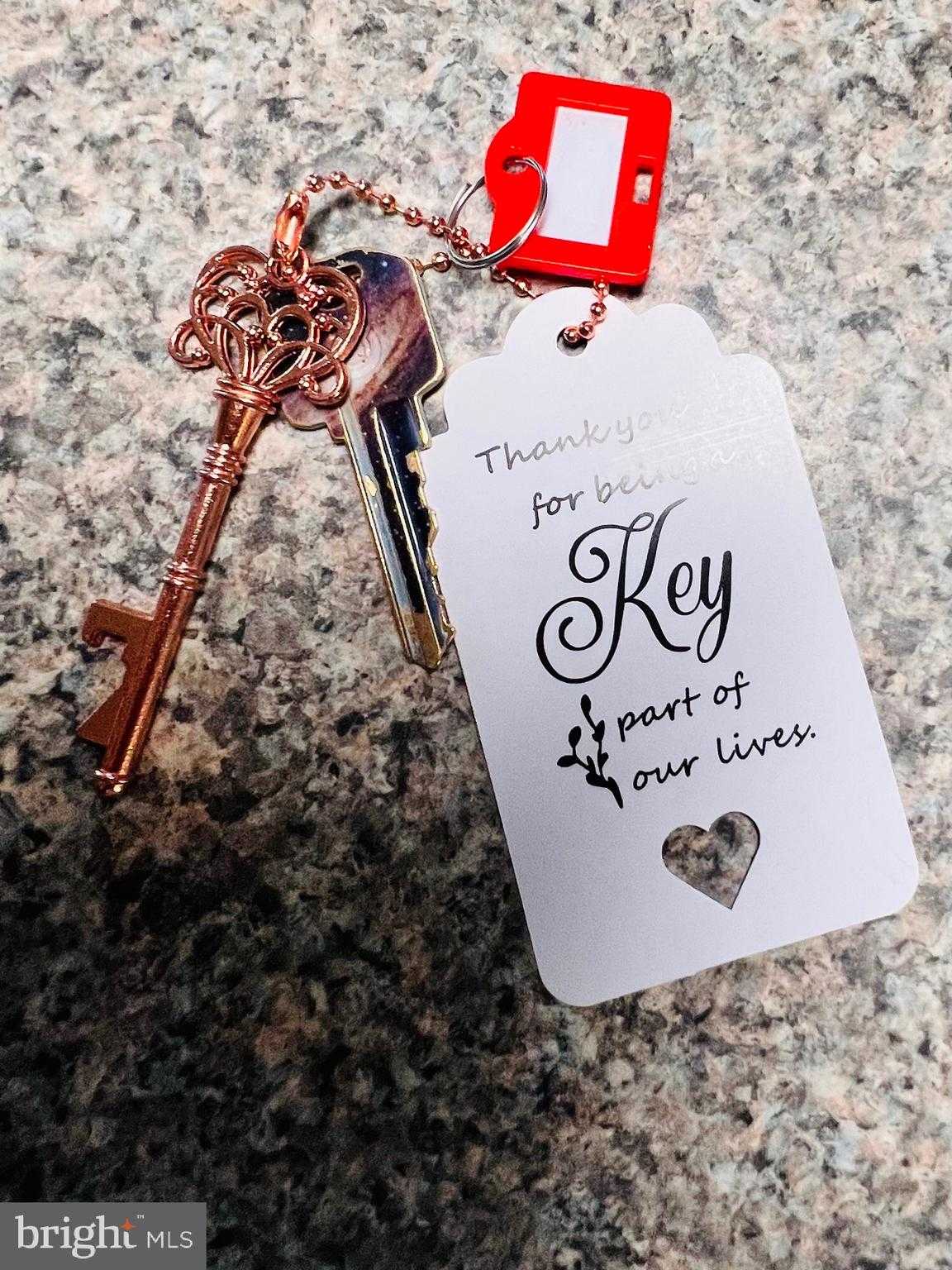 213 Forest Ave photo 16