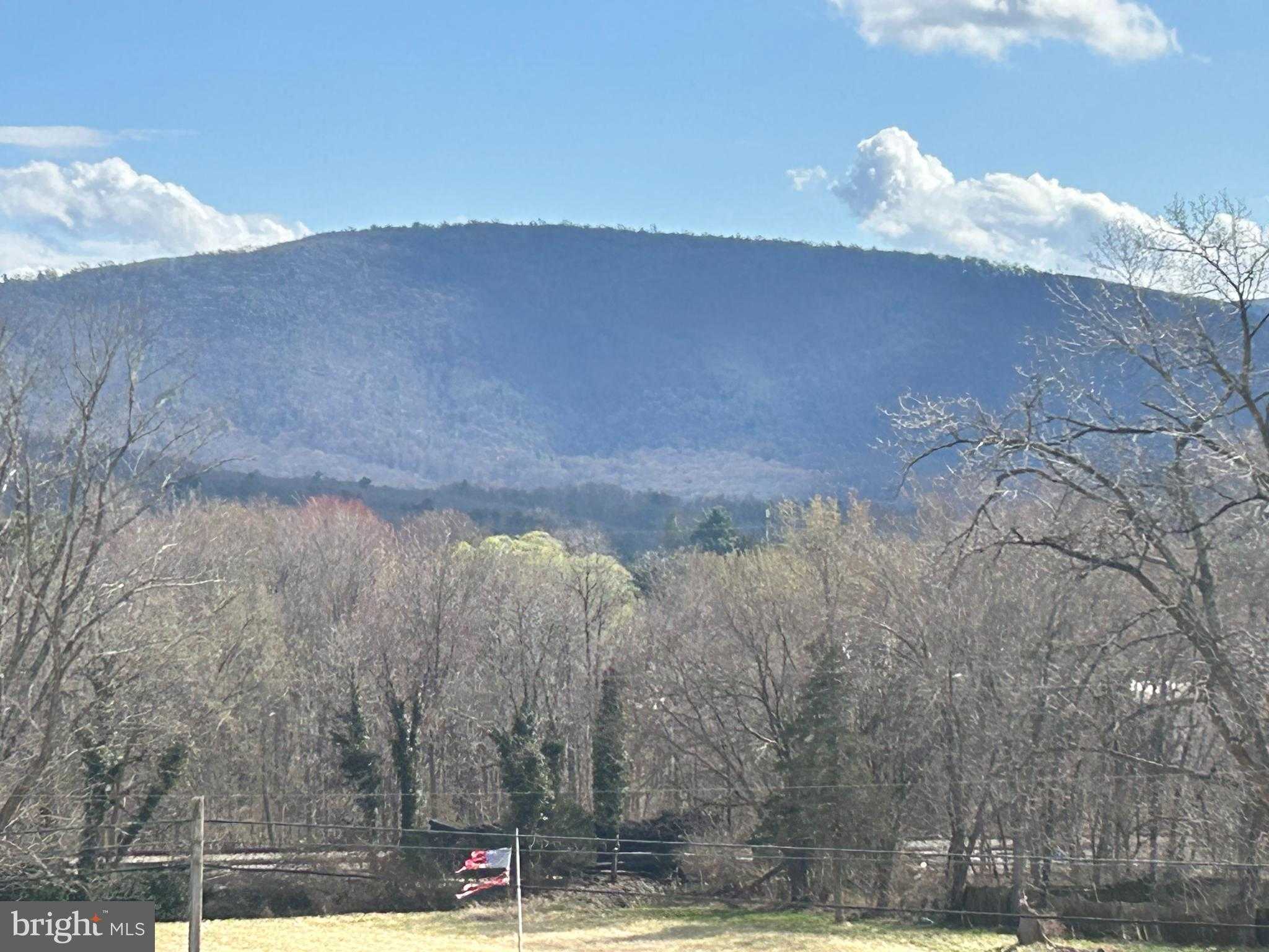 42 Dogwood Ln photo 62