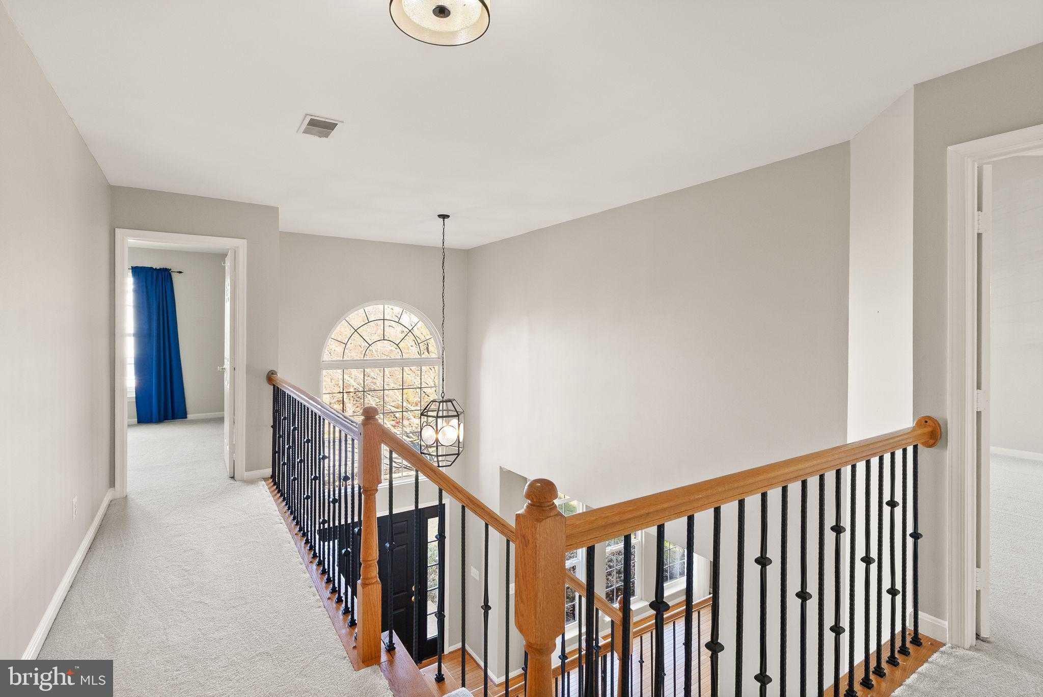 43229 Cavell CT photo 41