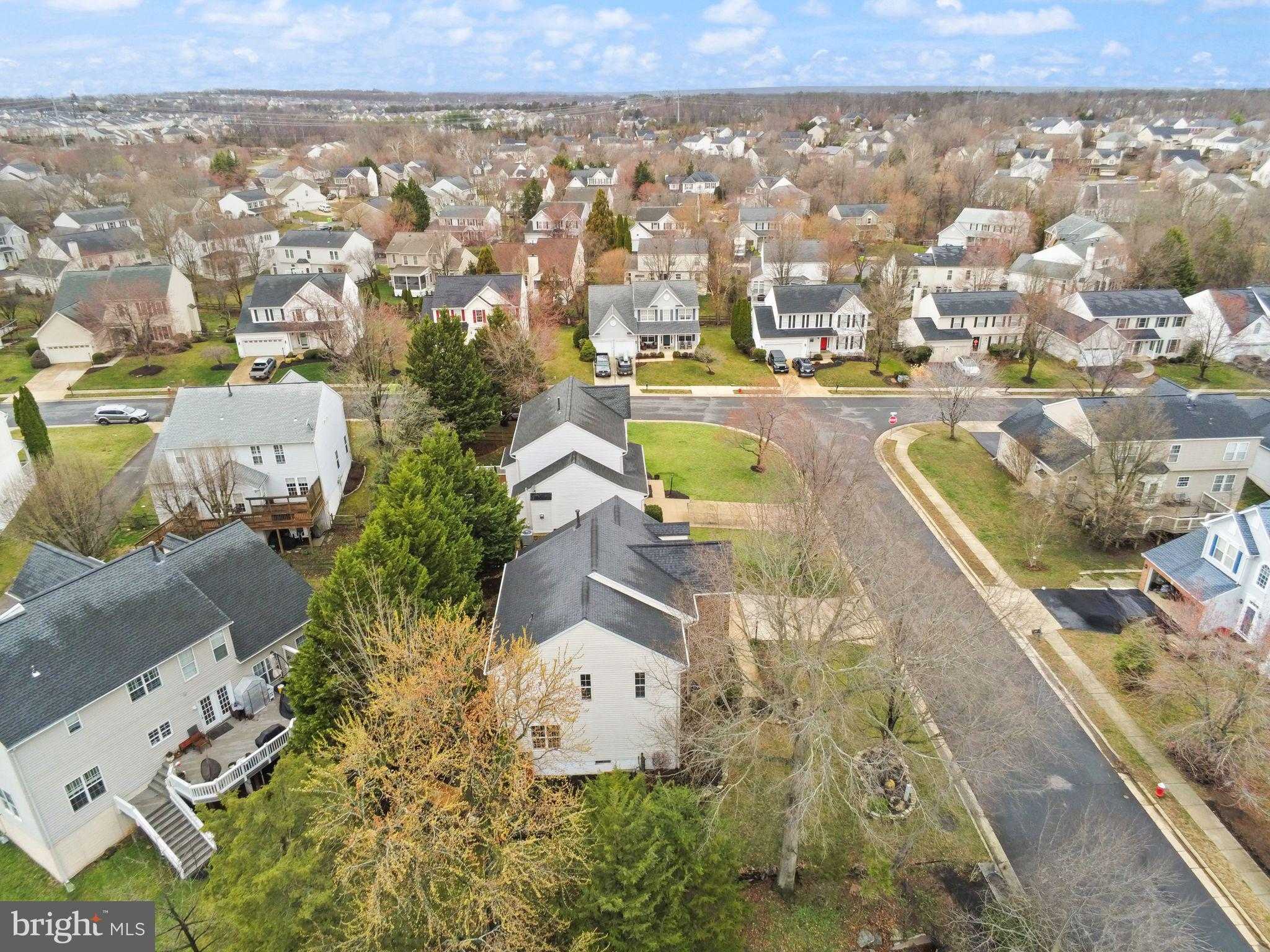 43229 Cavell CT photo 93