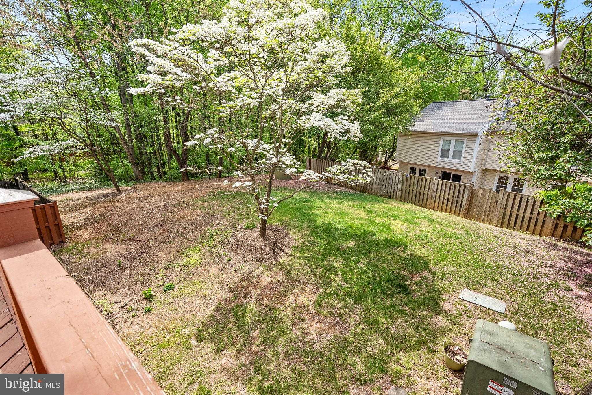 12541 Alder Woods Dr photo 29