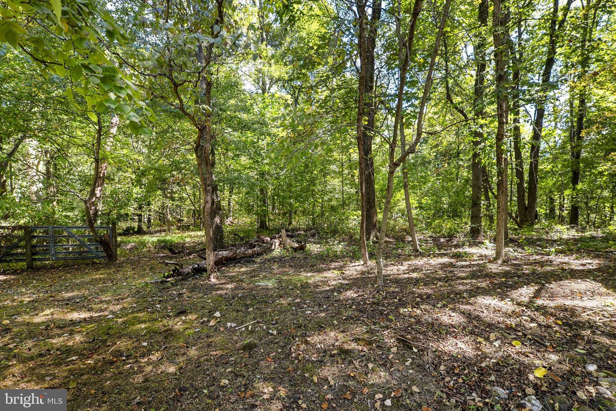 16112 Barnesville Rd photo 81