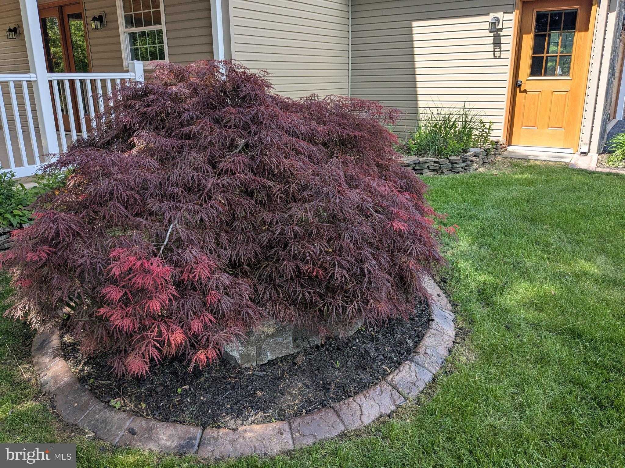 2308 Cypress Dr photo 56