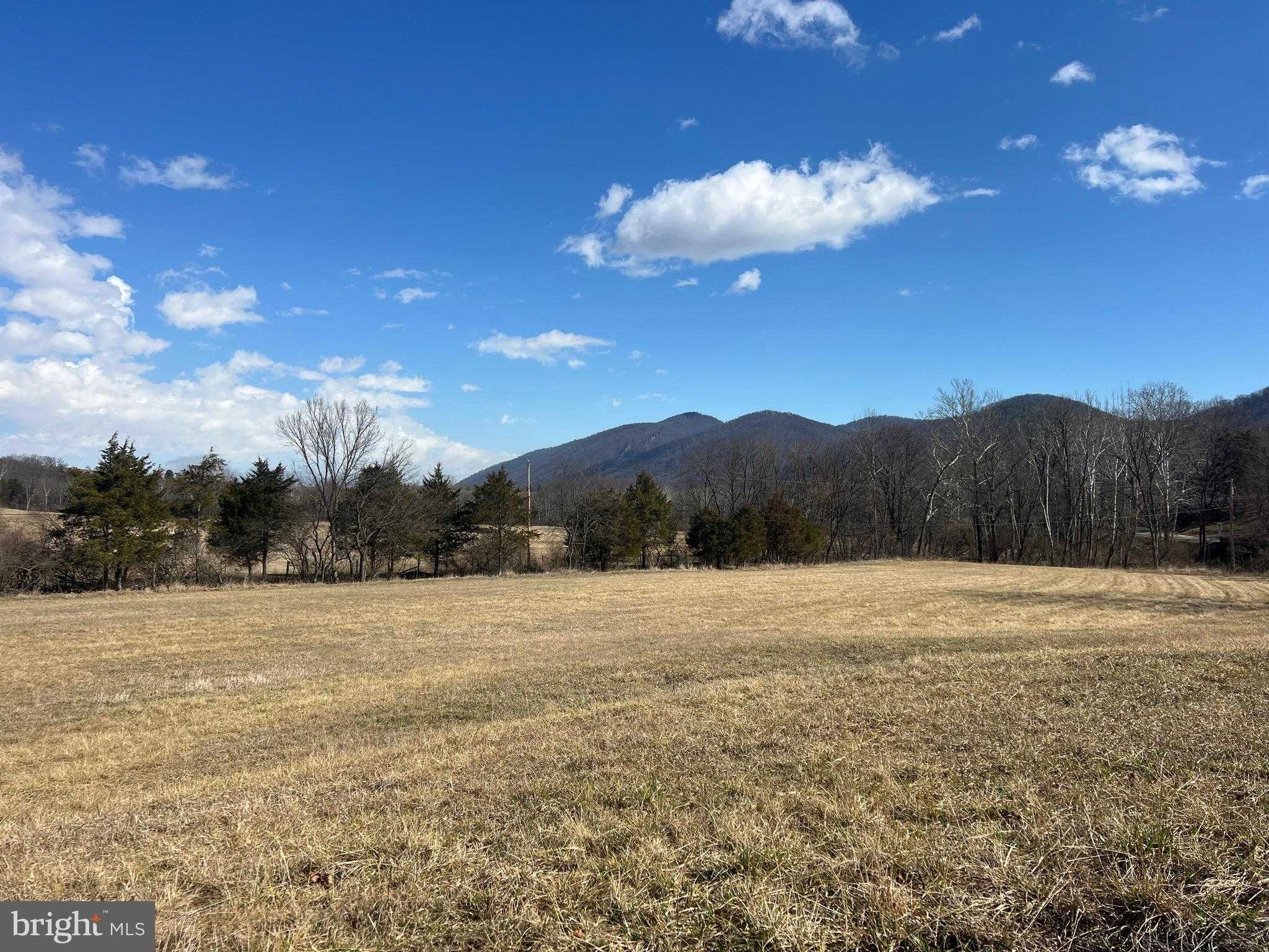 Patterson Creek Rd photo 2