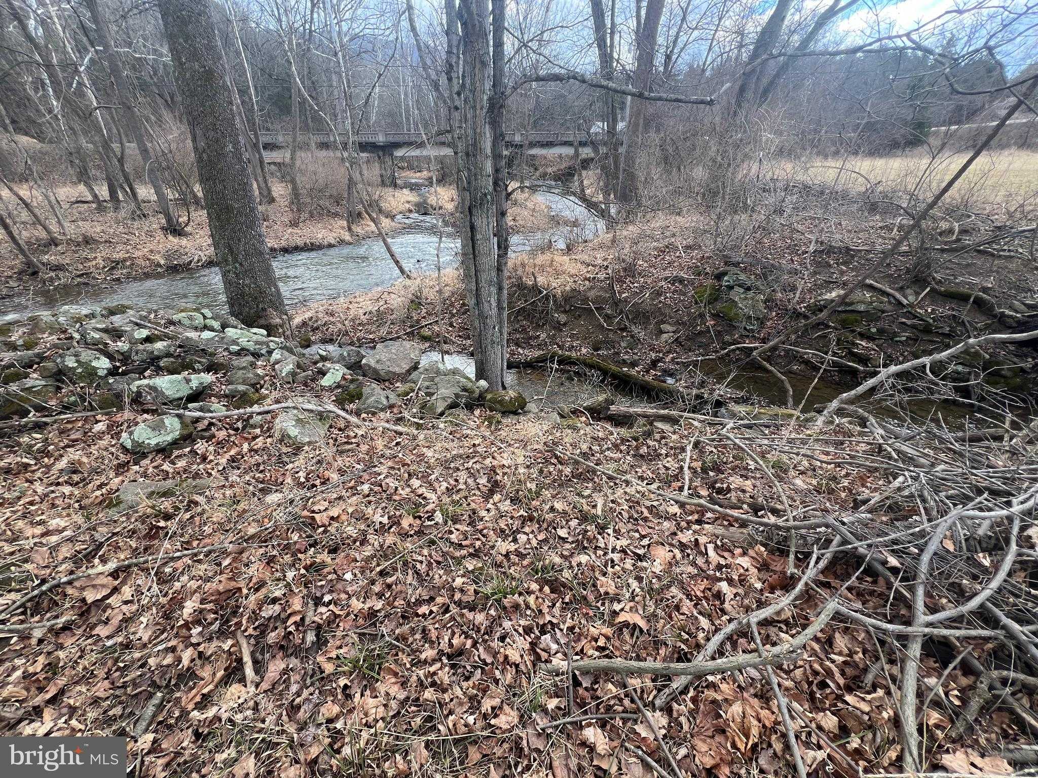 Patterson Creek Rd photo 52