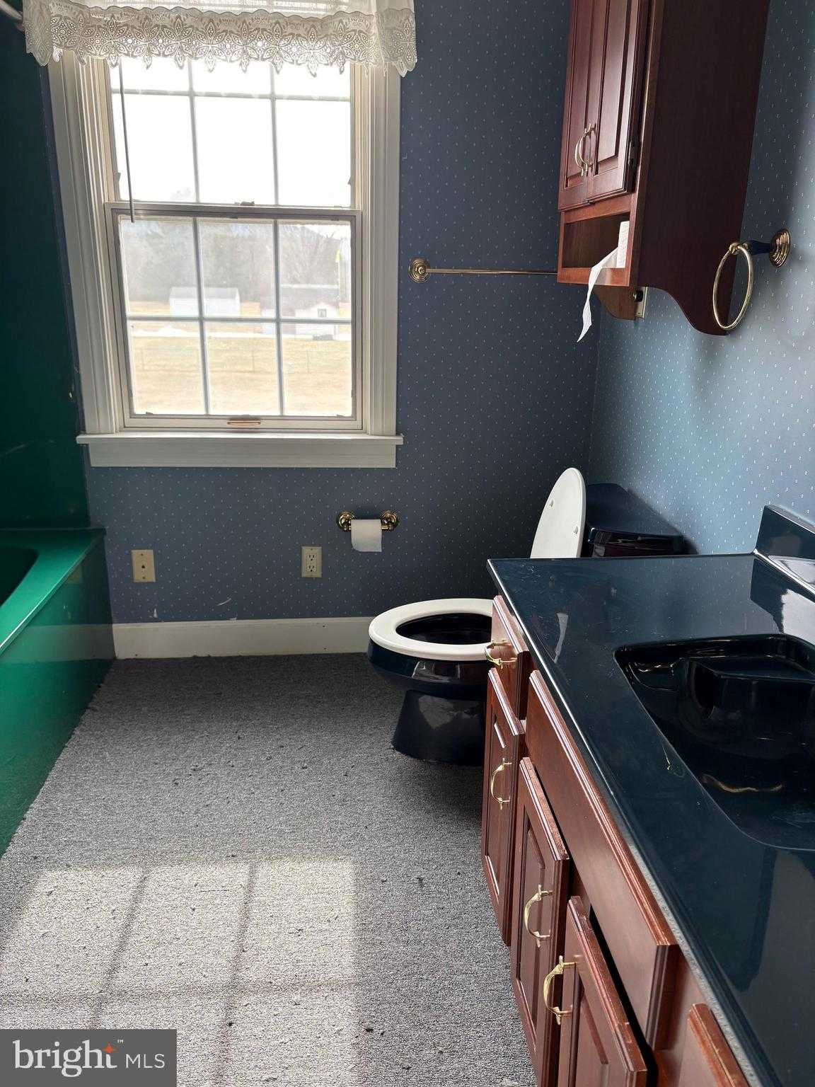 201 Hope Mountain Dr photo 29