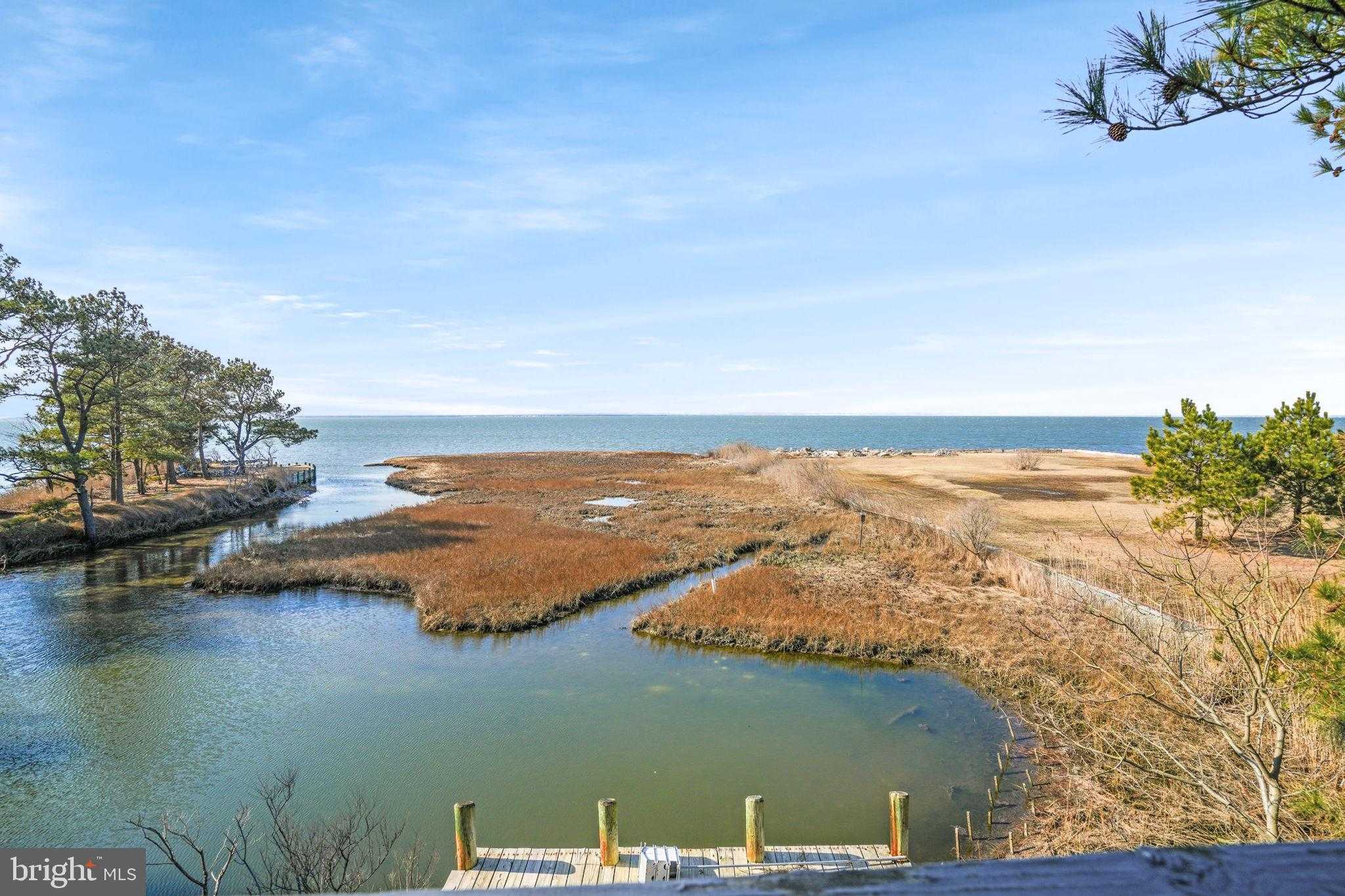 4443 Shady Ln photo 50