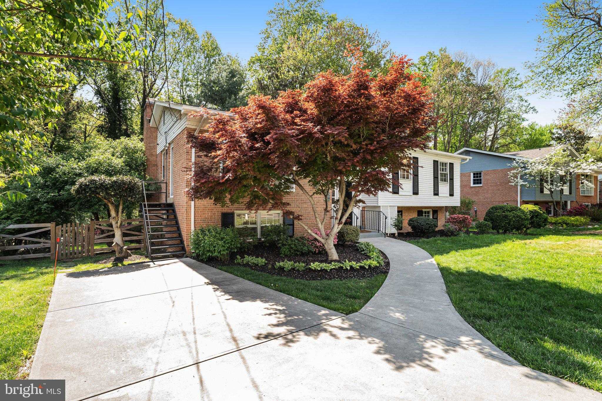 10115 Blue Coat Dr photo 4