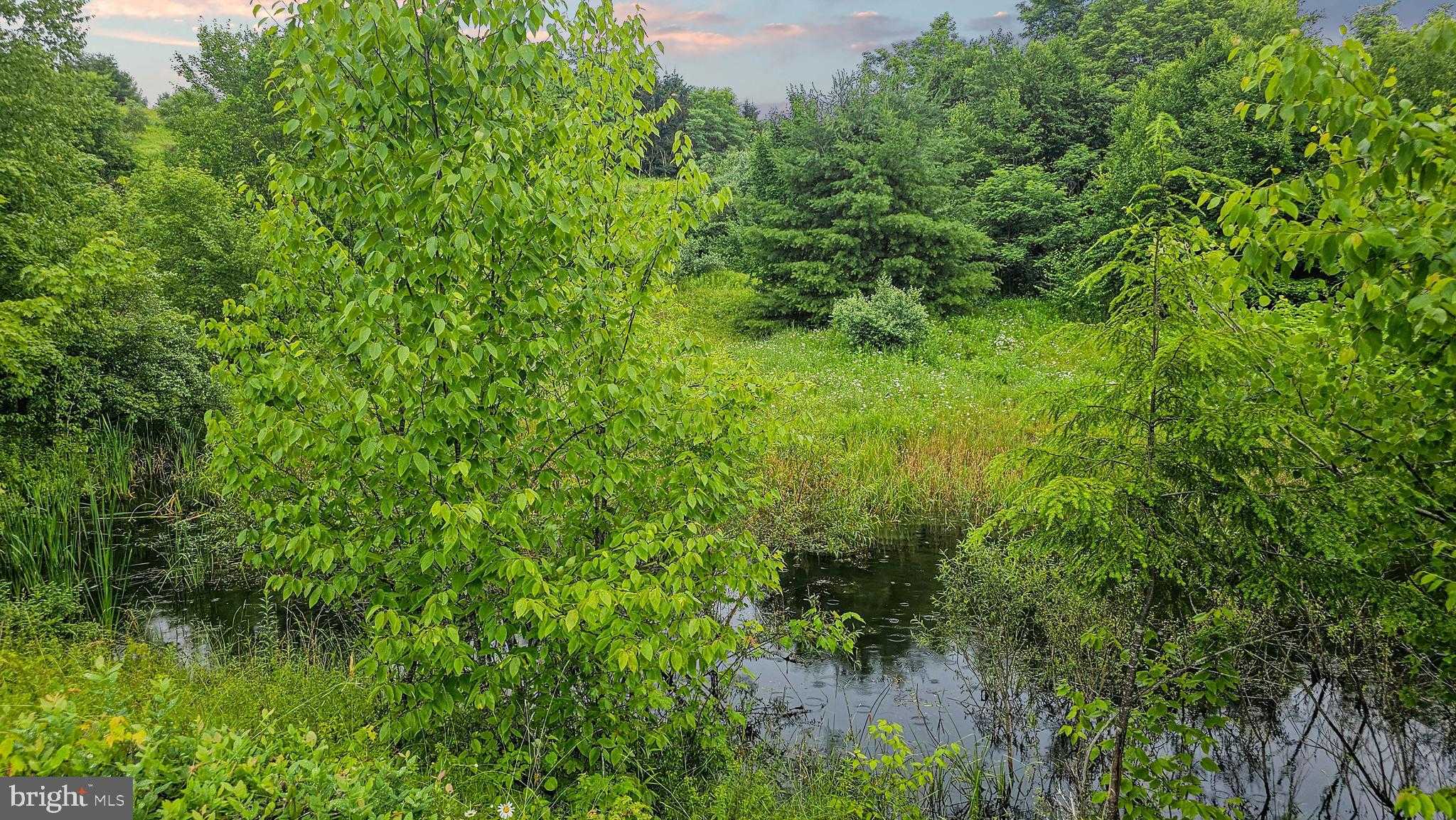 Mahaffey Grampian Hwy photo 17