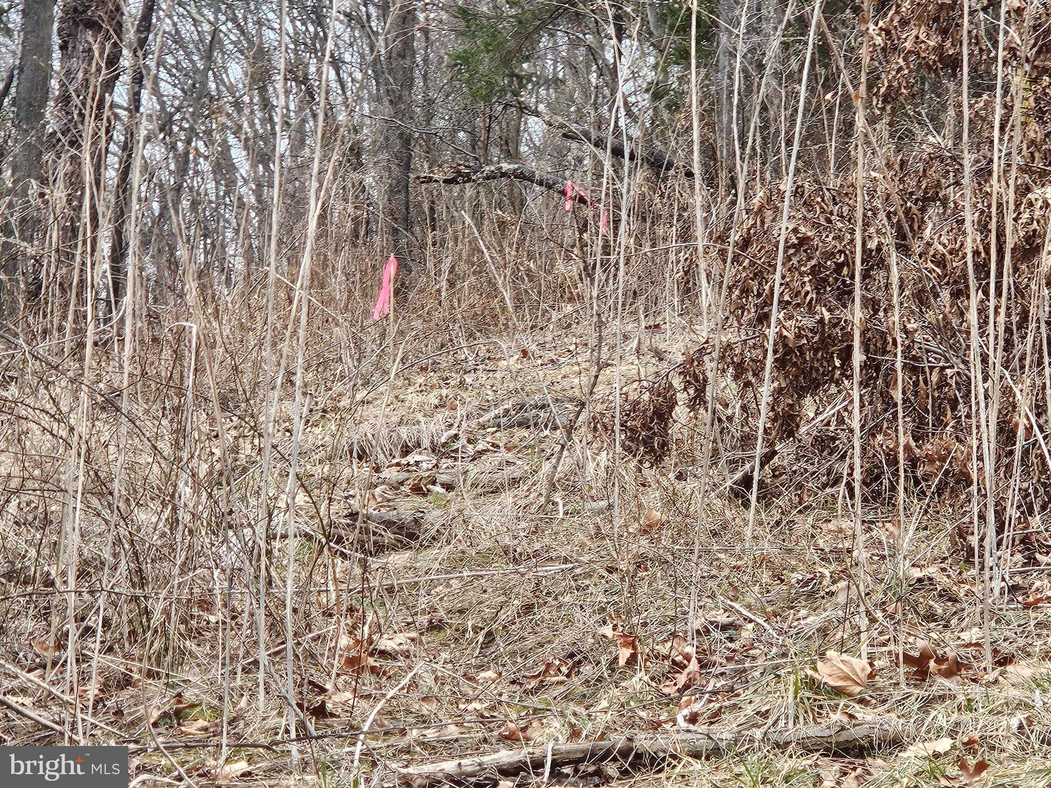 20117 Mcmullen Hwy SW photo 30