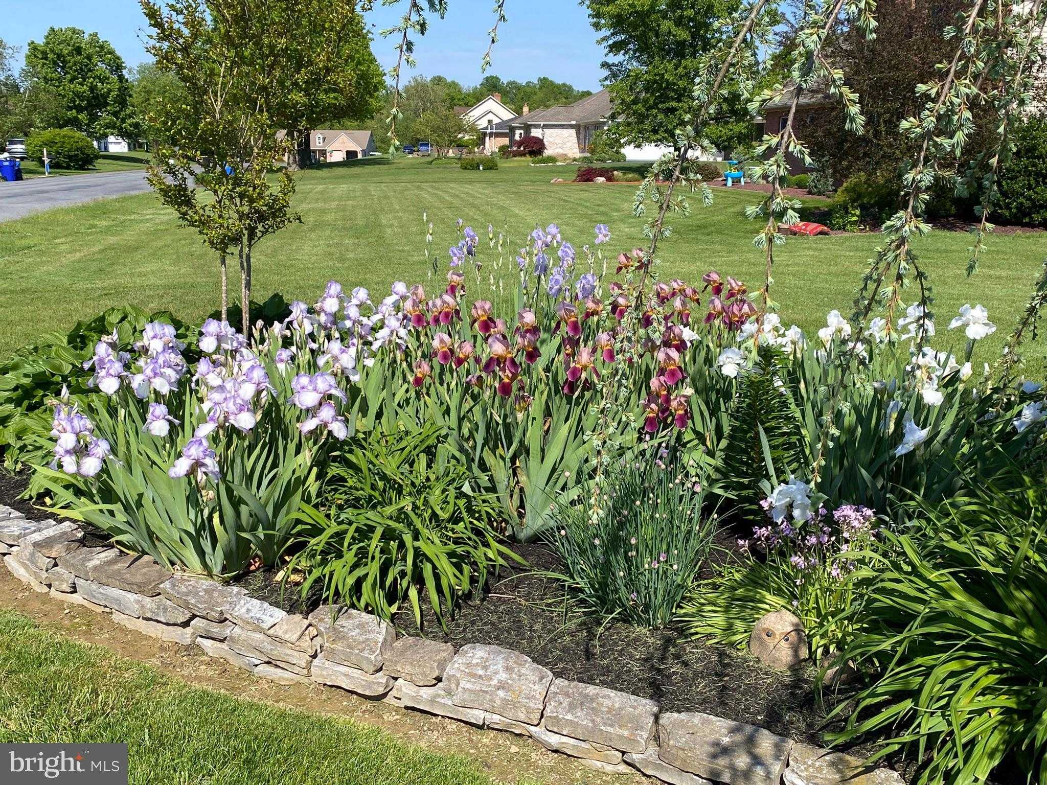 1007 Chestnut Pl photo 34