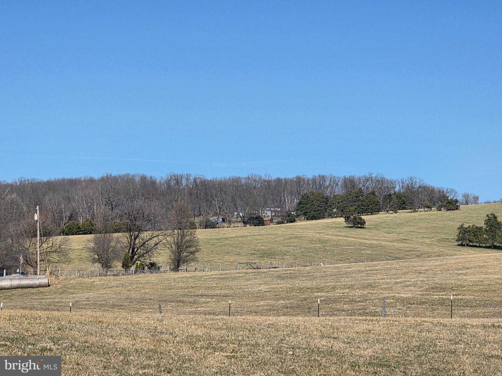 459 Springfield Estates Dr photo 40