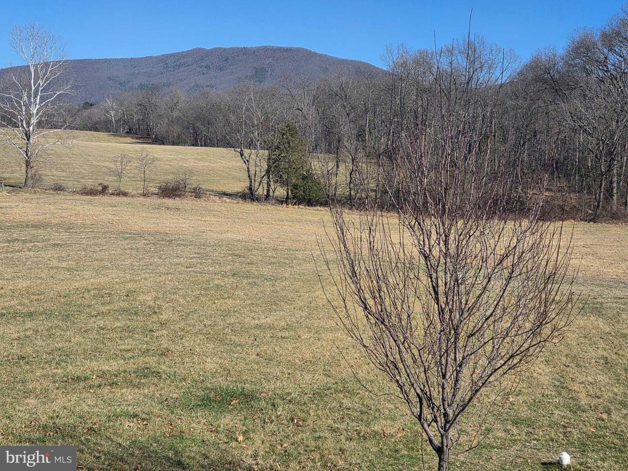 459 Springfield Estates Dr photo 46