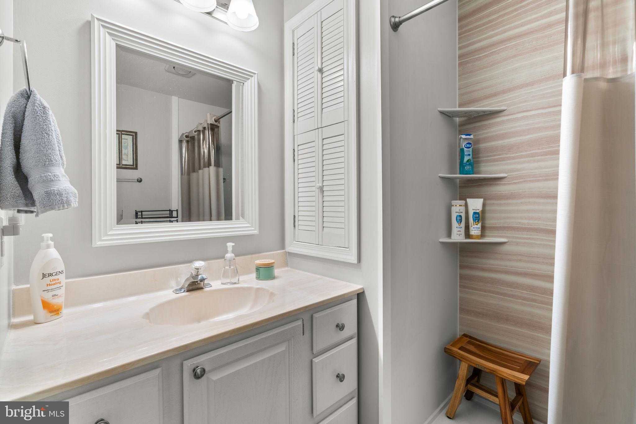 9413 Sunfall CT photo 56