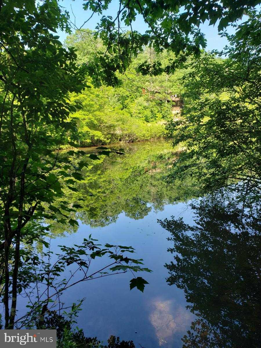 N Frederick Pike photo 15