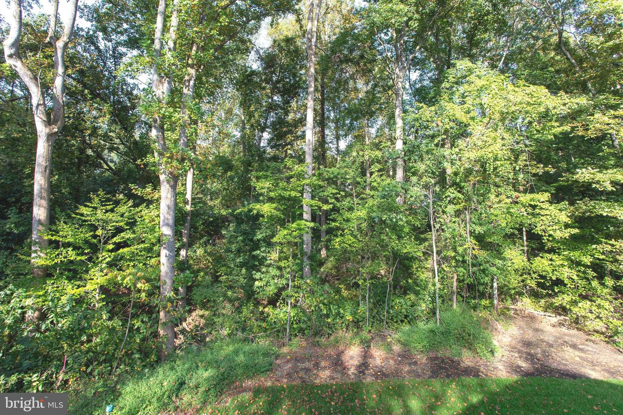 29057 Ann Cir photo 67