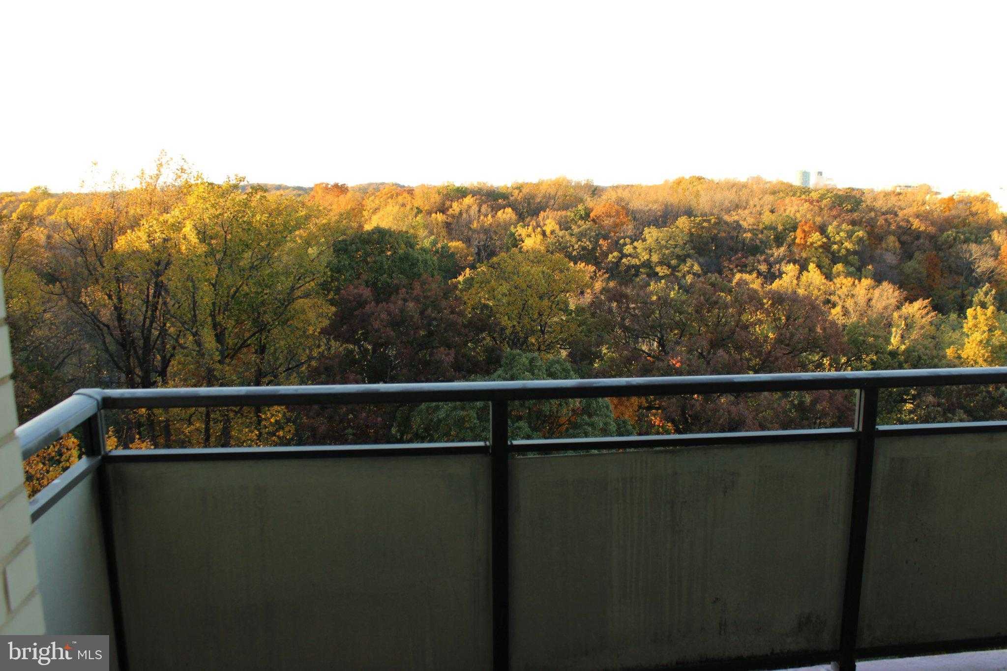 5225 Pooks Hill Rd, Bethesda