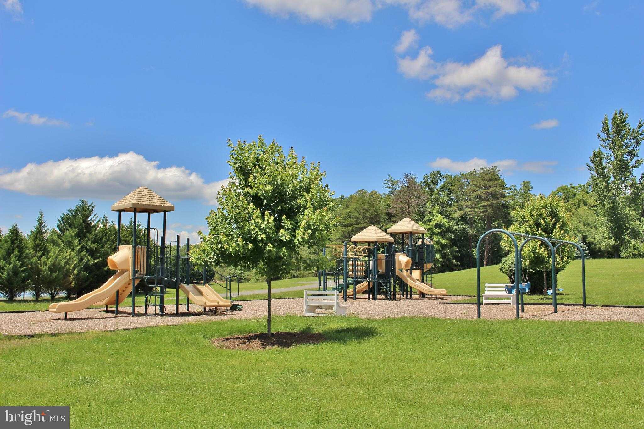 11608 Longstreet Dr photo 53