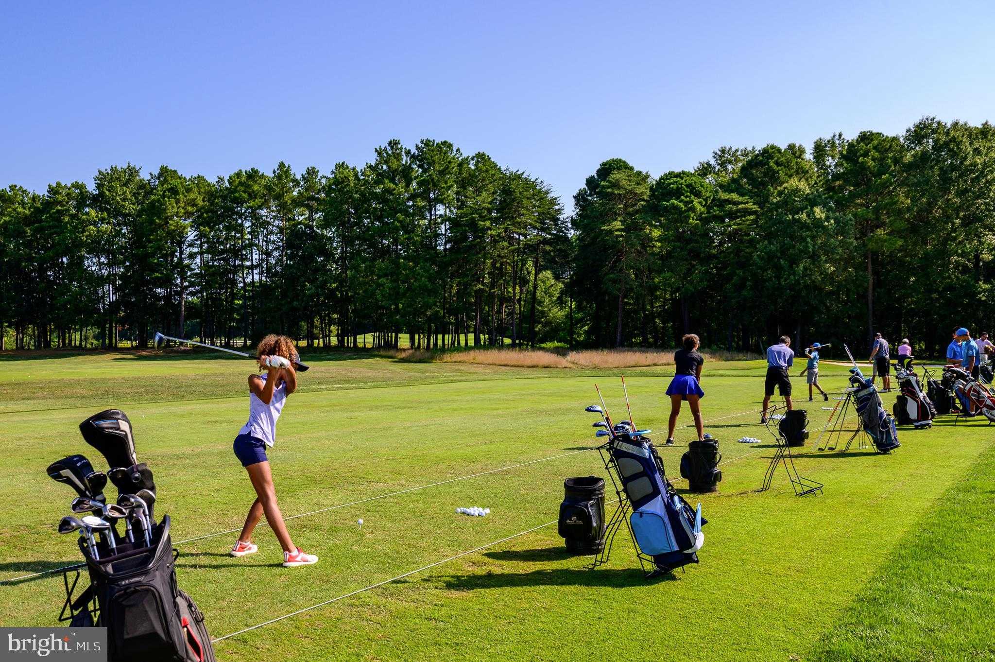 11208 Knolls End photo 65