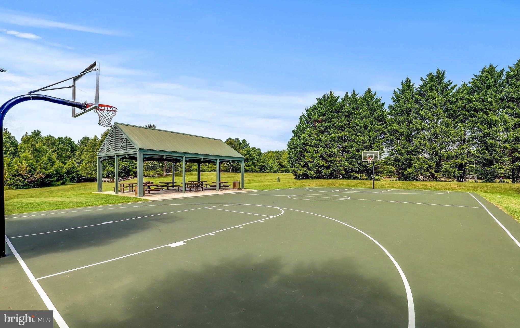 11208 Knolls End photo 68