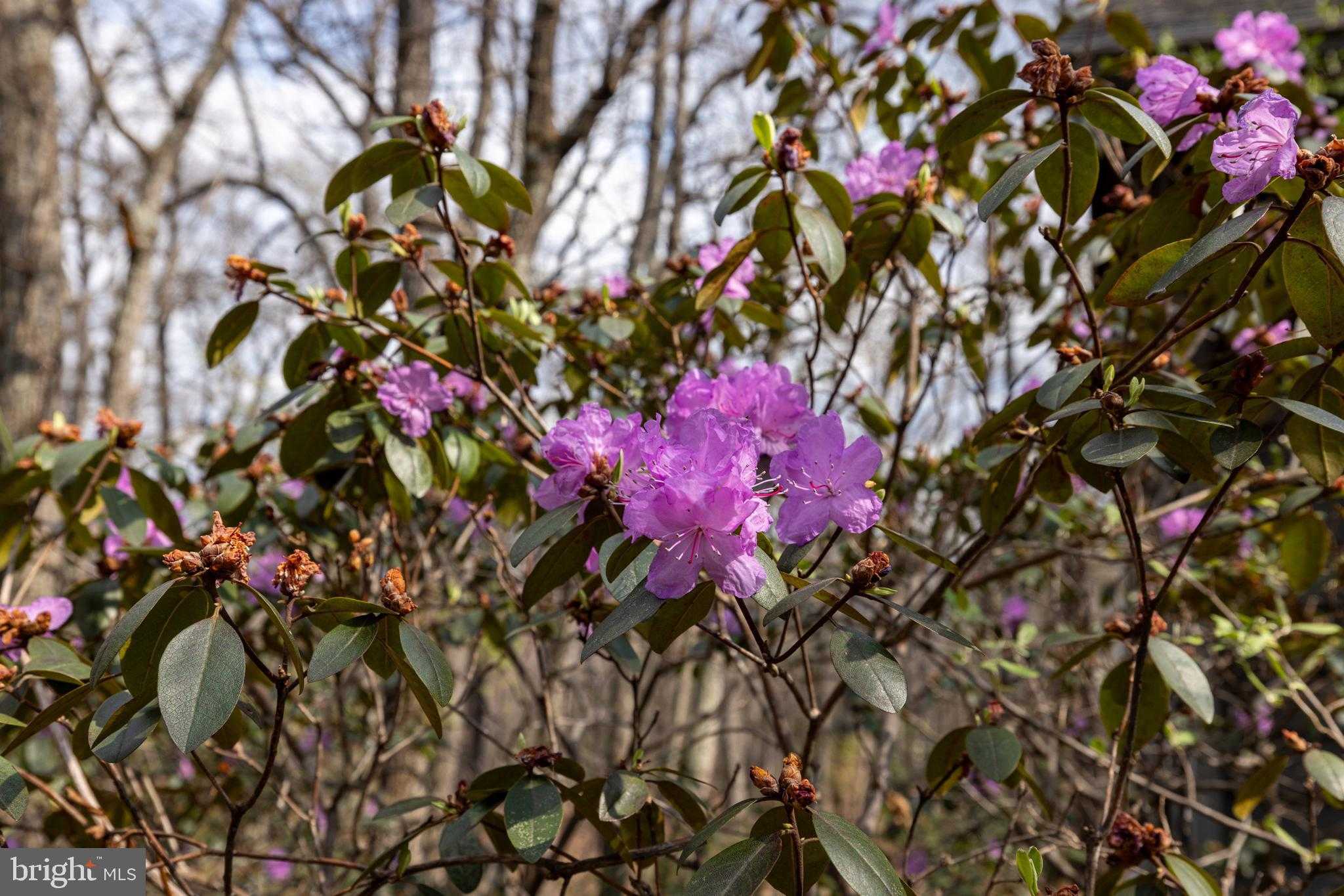 3229 Hopkins Dr photo 70