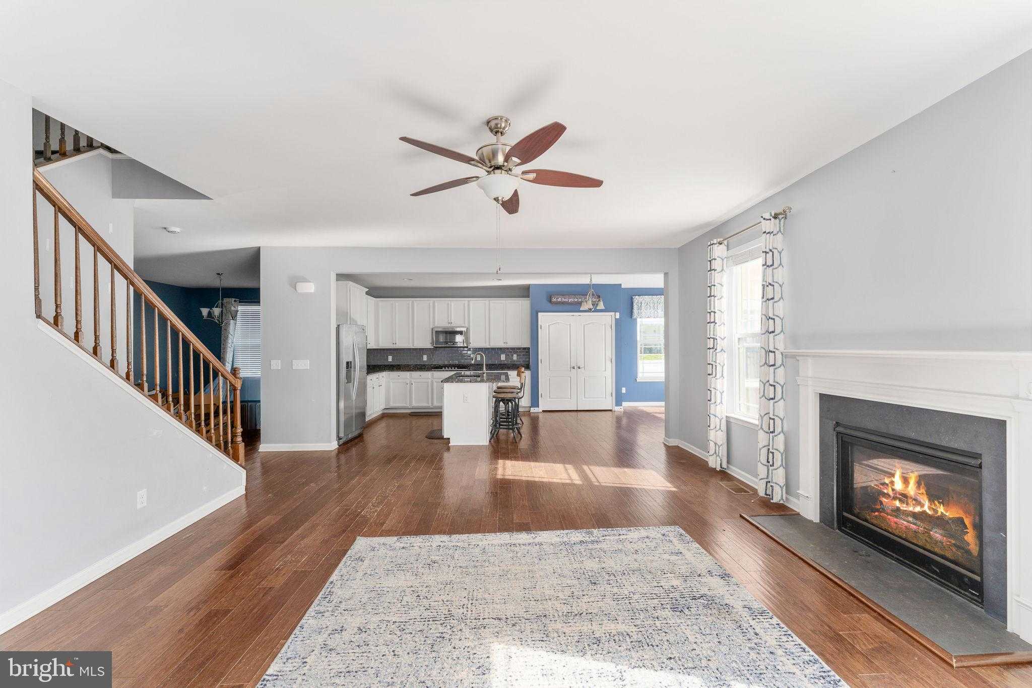 7 Ferrous CT photo 21