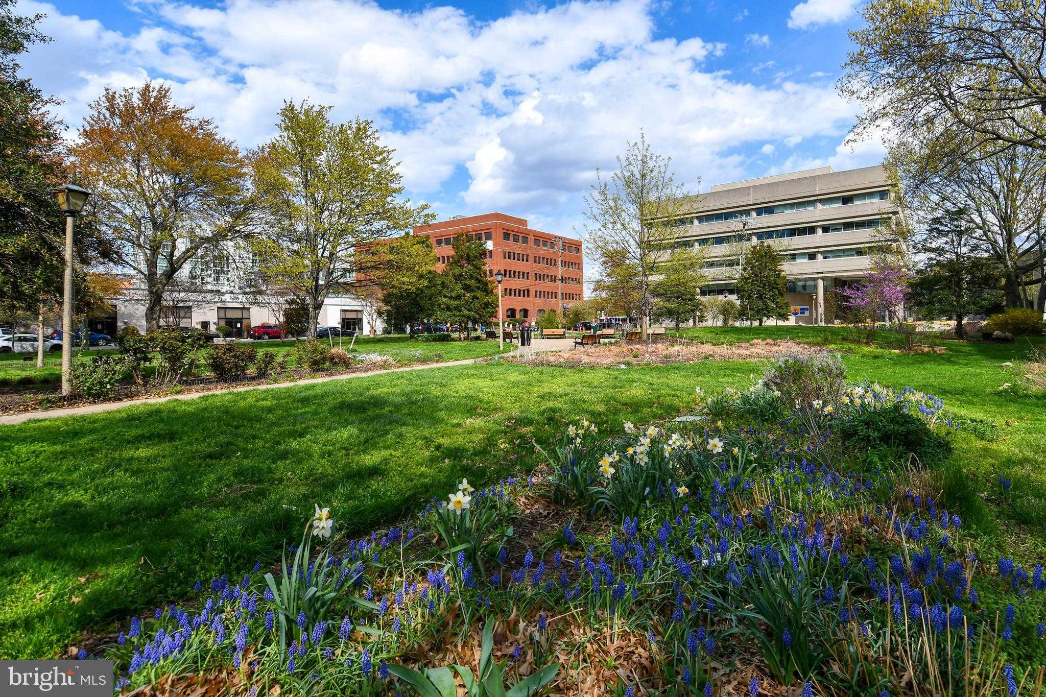 400 Madison St Apt 301 photo 50