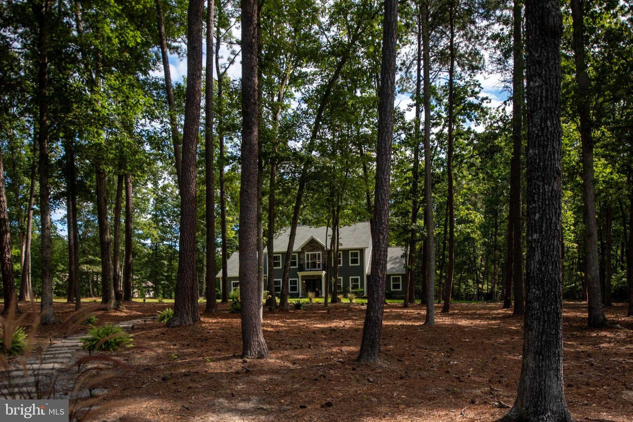 11204 Honor Bridge Farm Pl photo 60