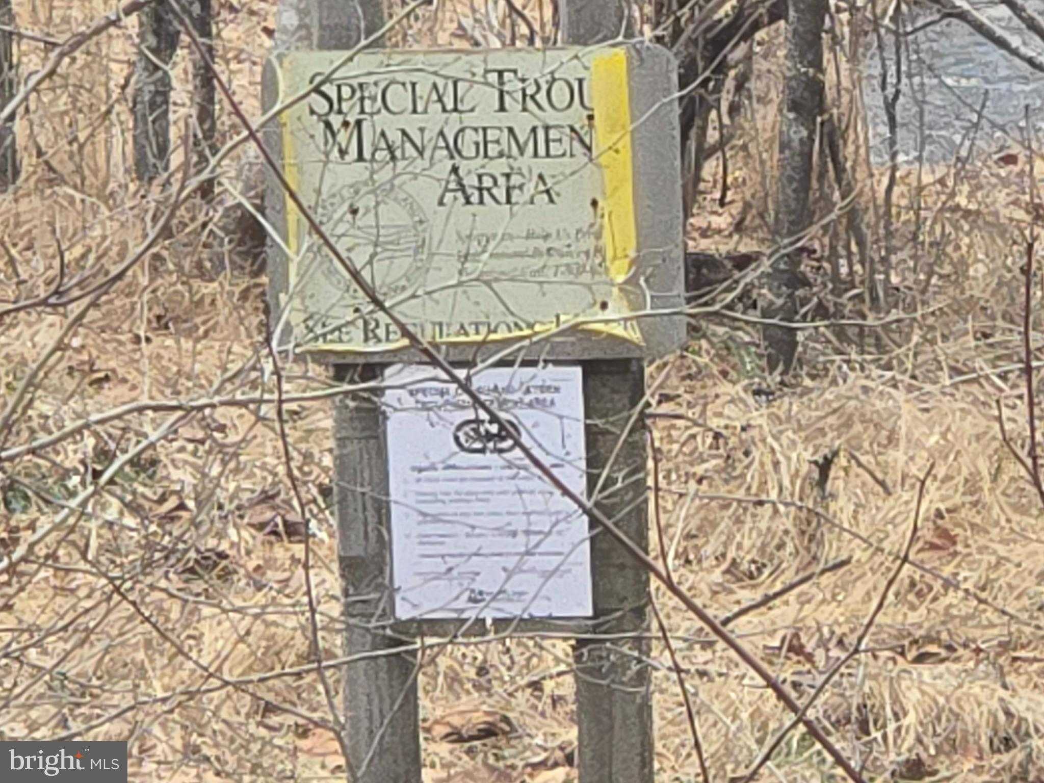 423 London Ct photo 22