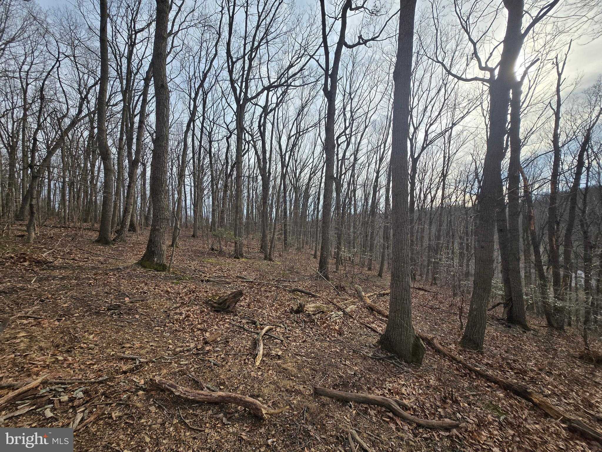 Sams Creek Rd photo 20