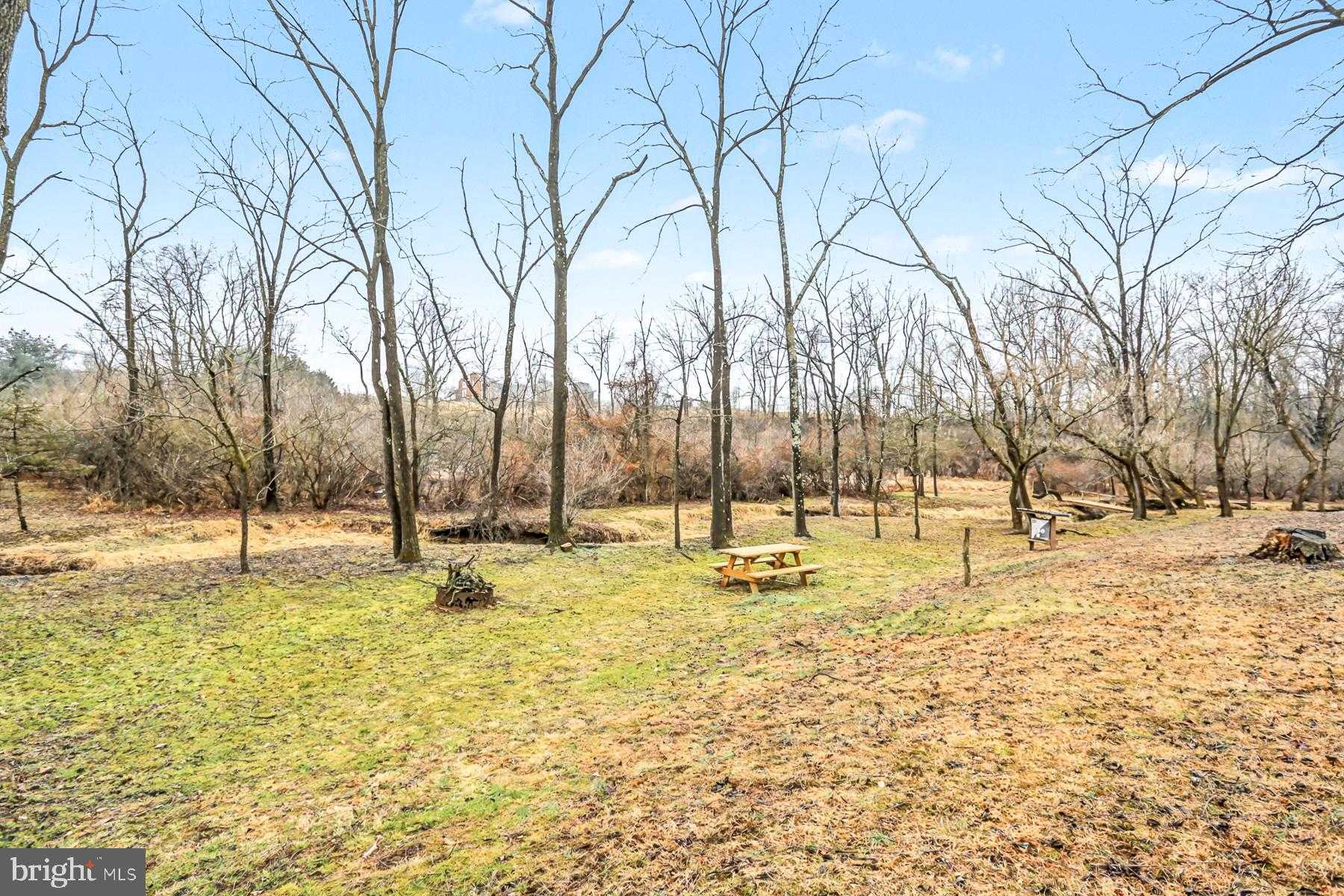 115 Buck Run photo 43