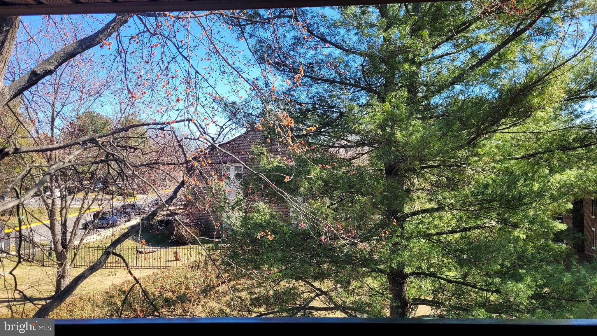 7919 Coriander Dr Apt 302 photo 40