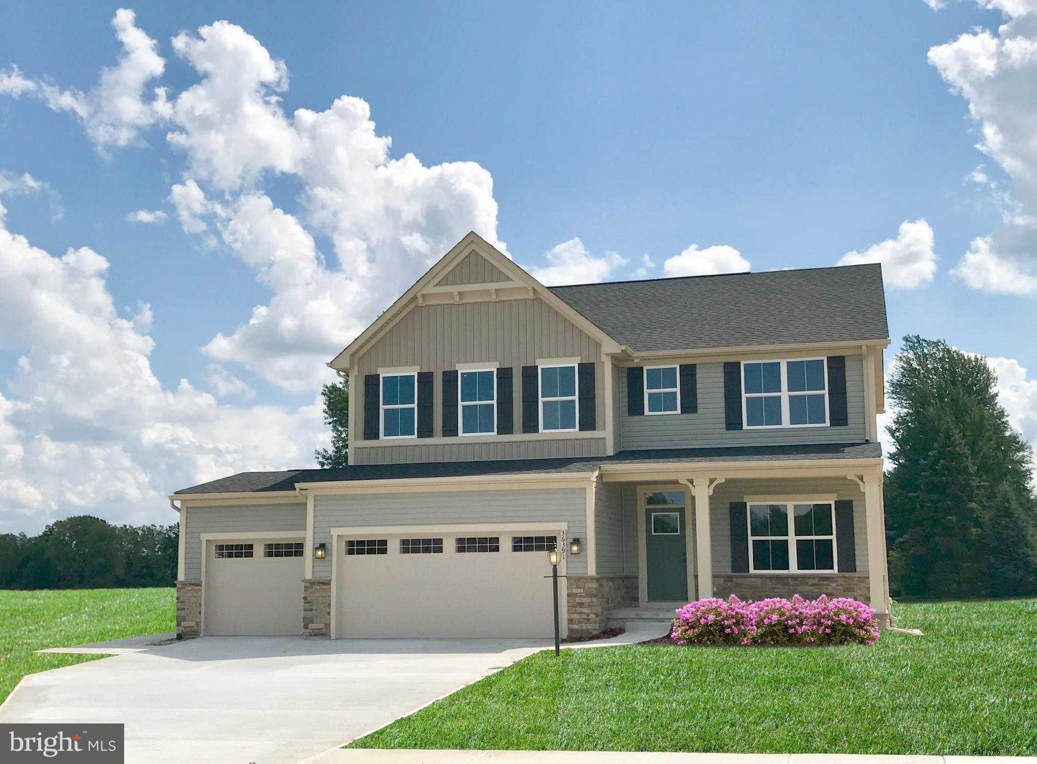 9073 Ballotade St photo 28