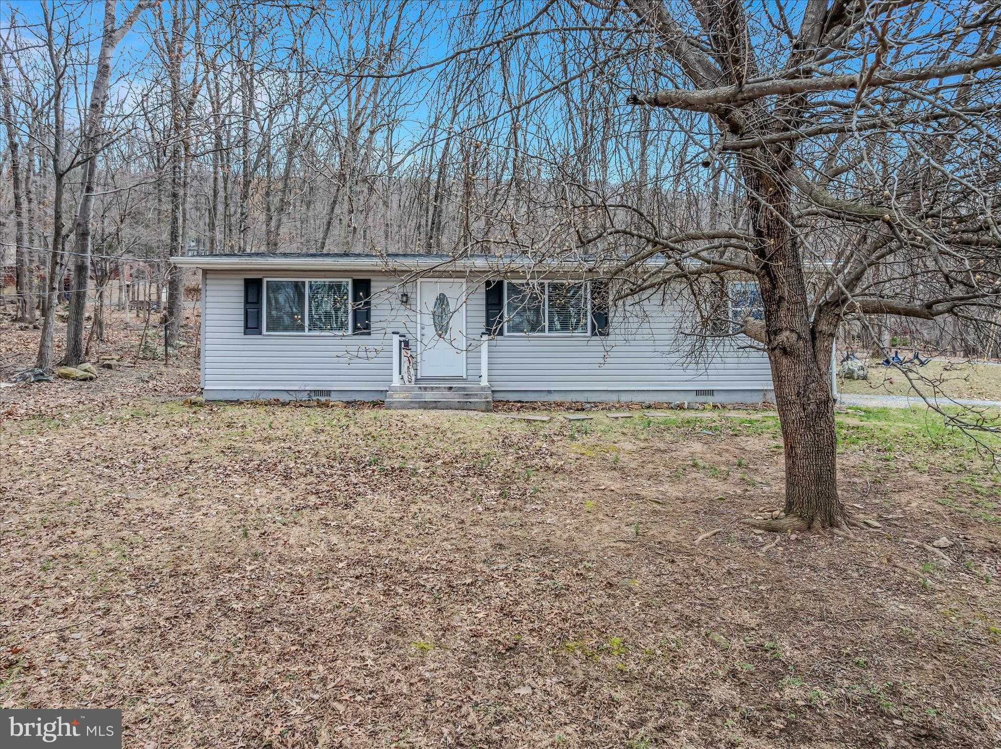 771 Gray Fox Rd photo 2