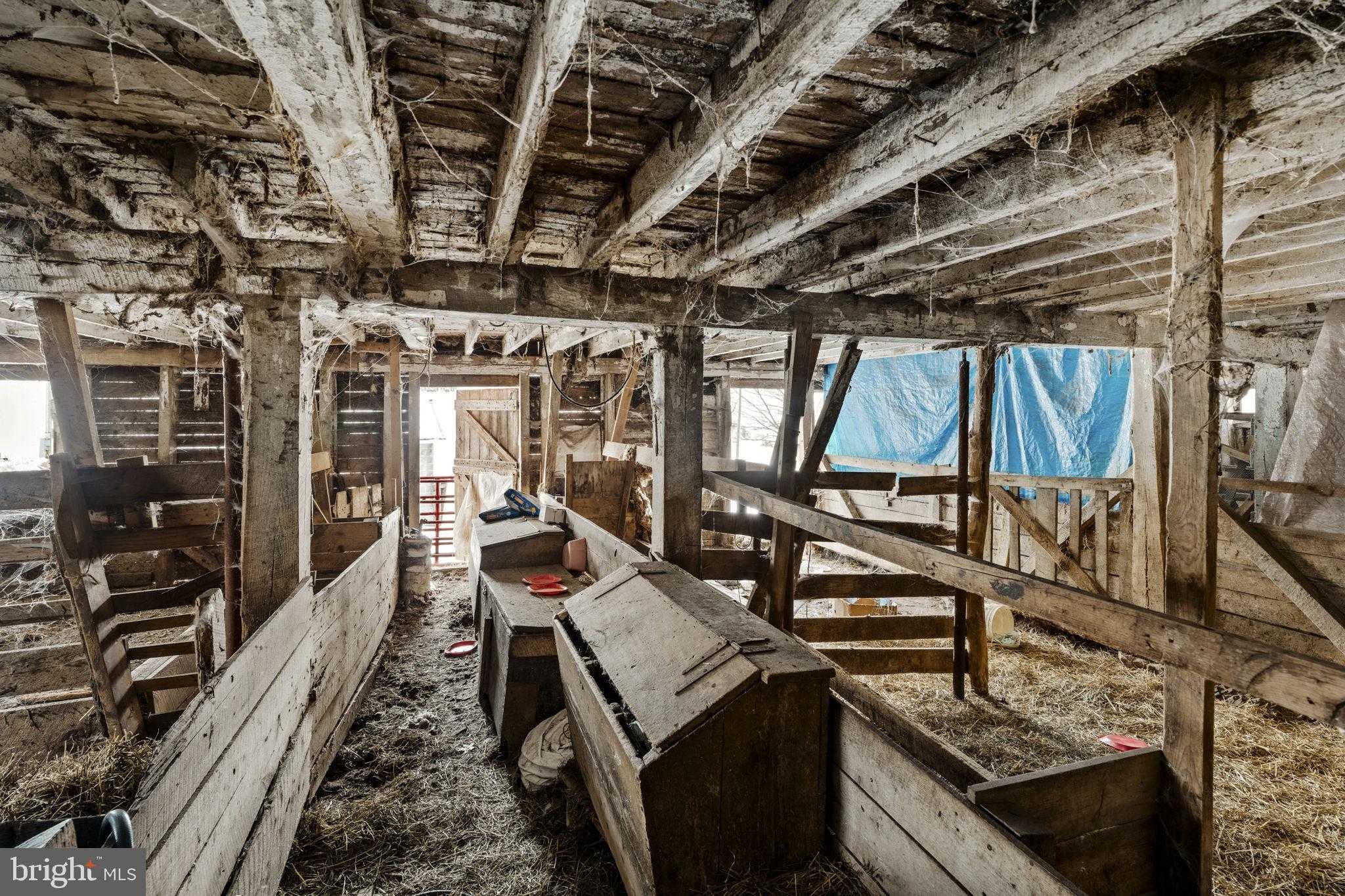 22314 Miller Rd photo 52