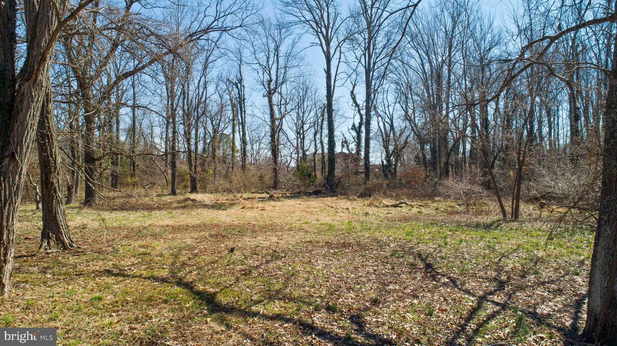 5911 Tyler Rd photo 10