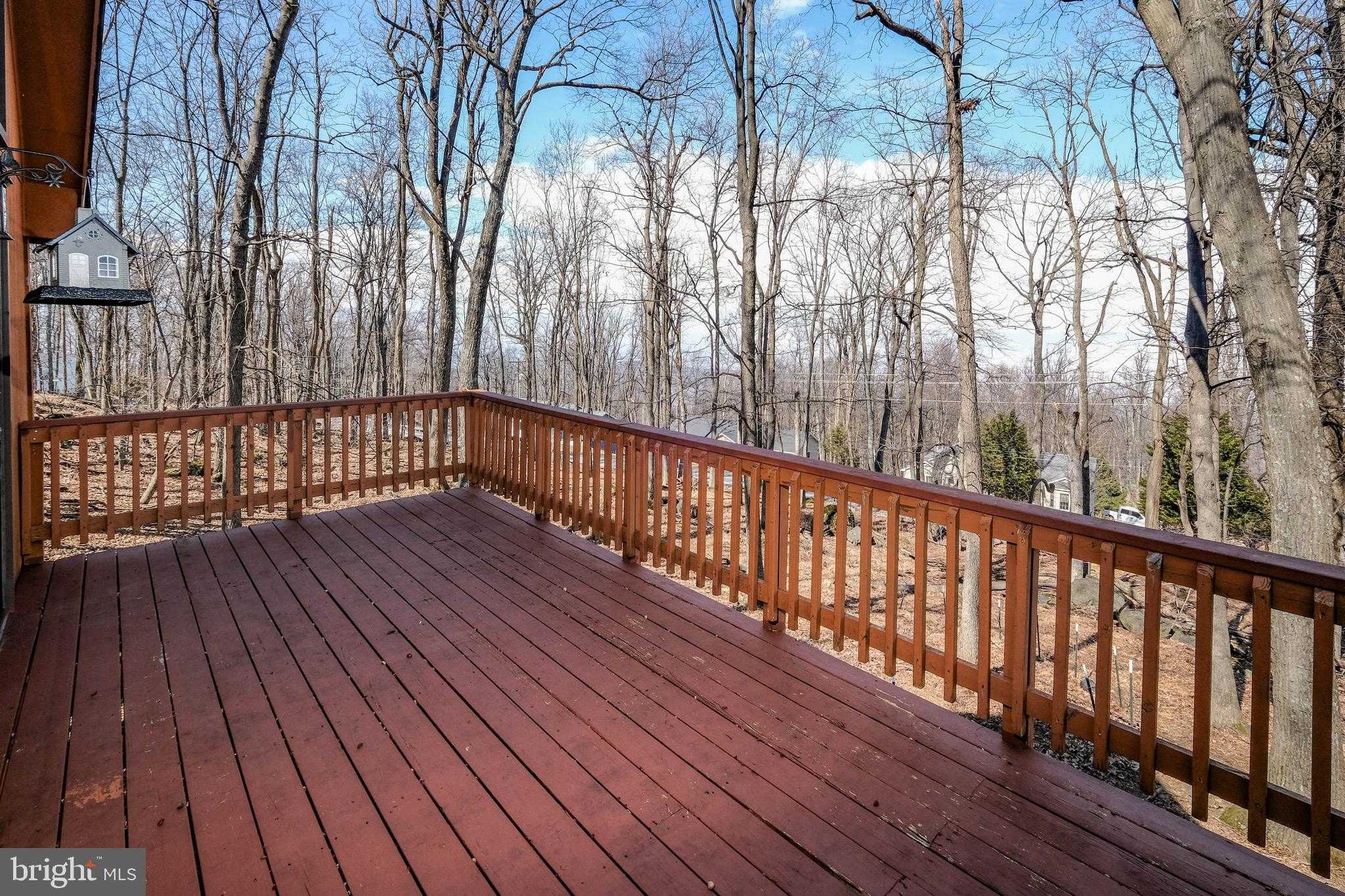 59 Alpine Dr photo 11