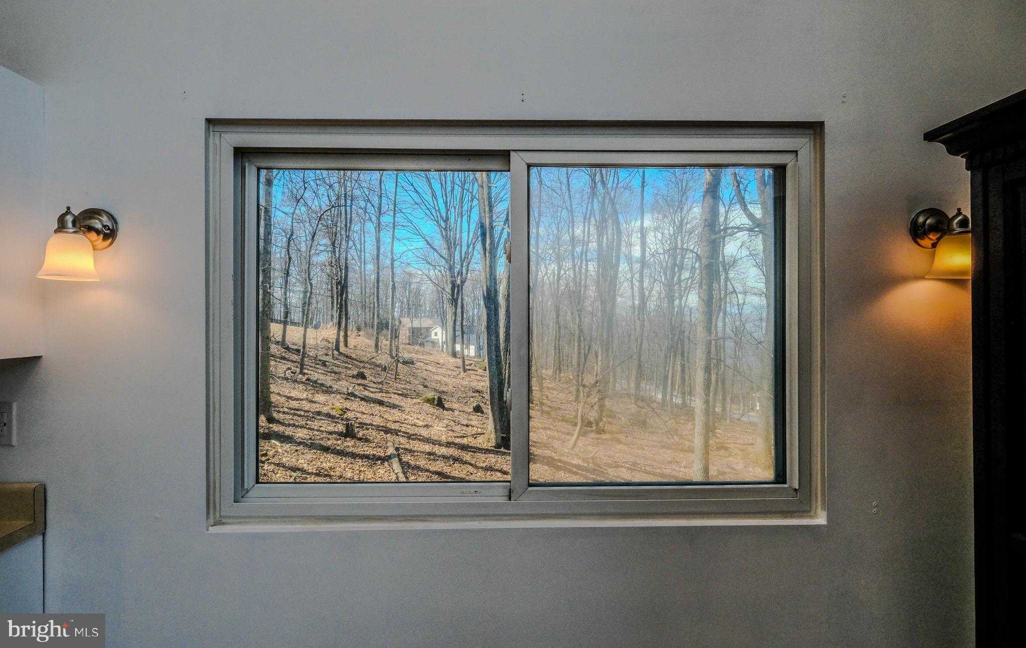 59 Alpine Dr photo 41