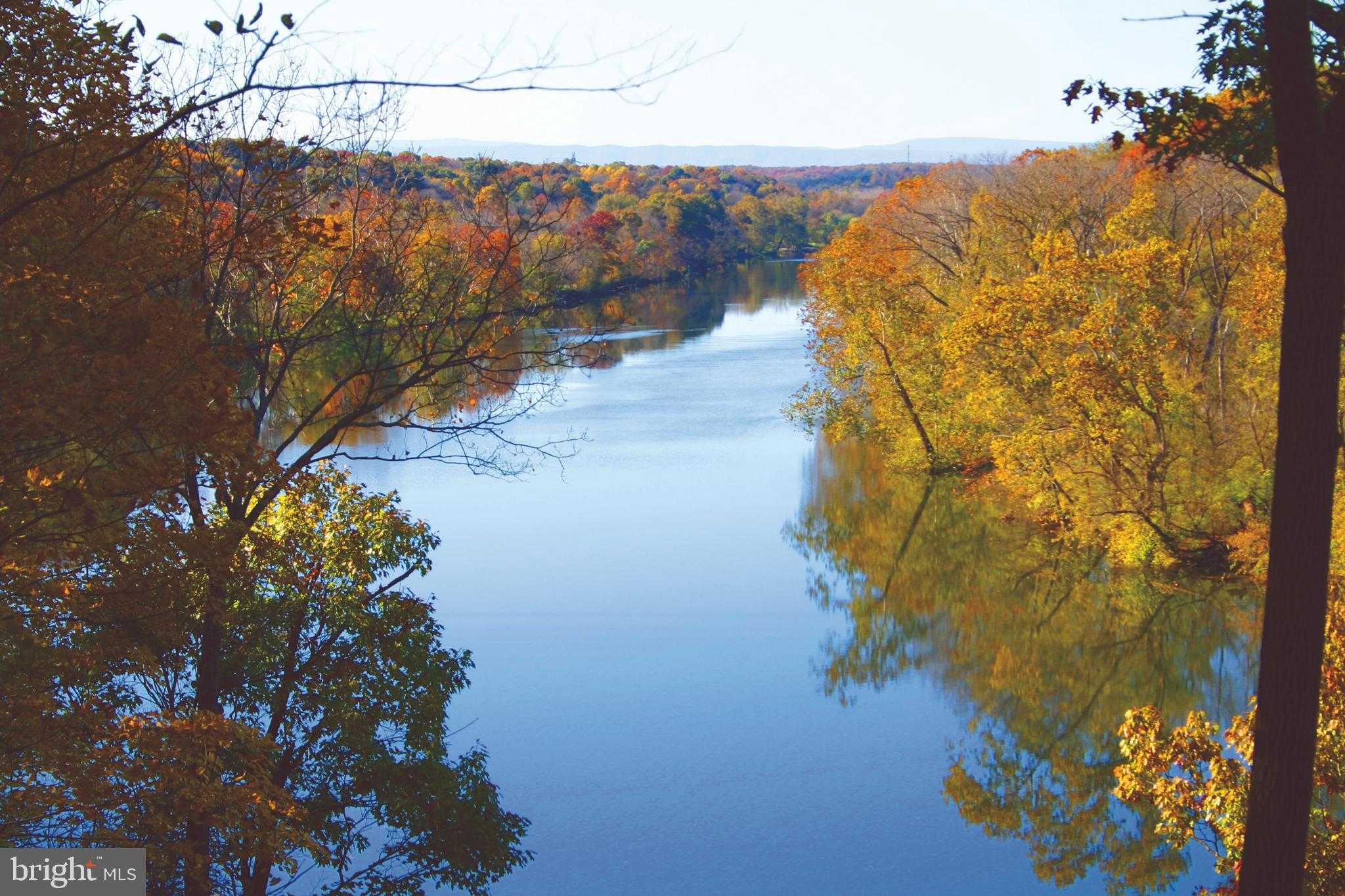 59 Alpine Dr photo 67