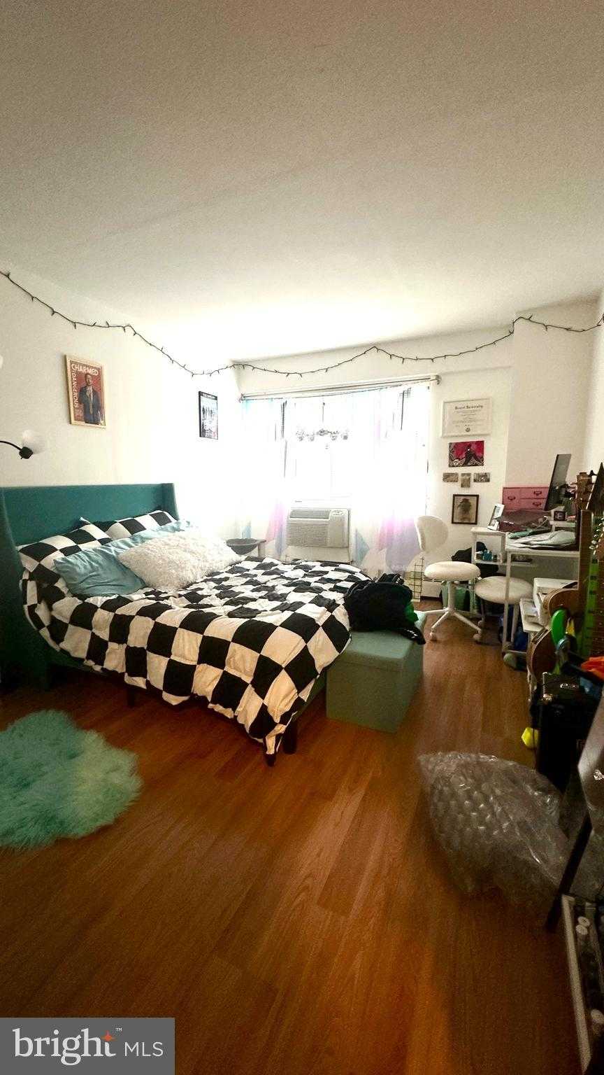 2101 Chestnut St Unit 317 photo 31